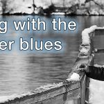 winter-blues-web-banner